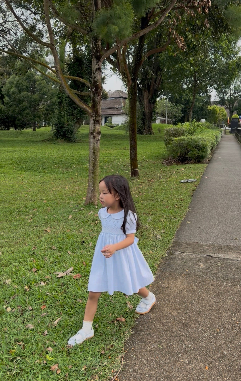 Amelia dress