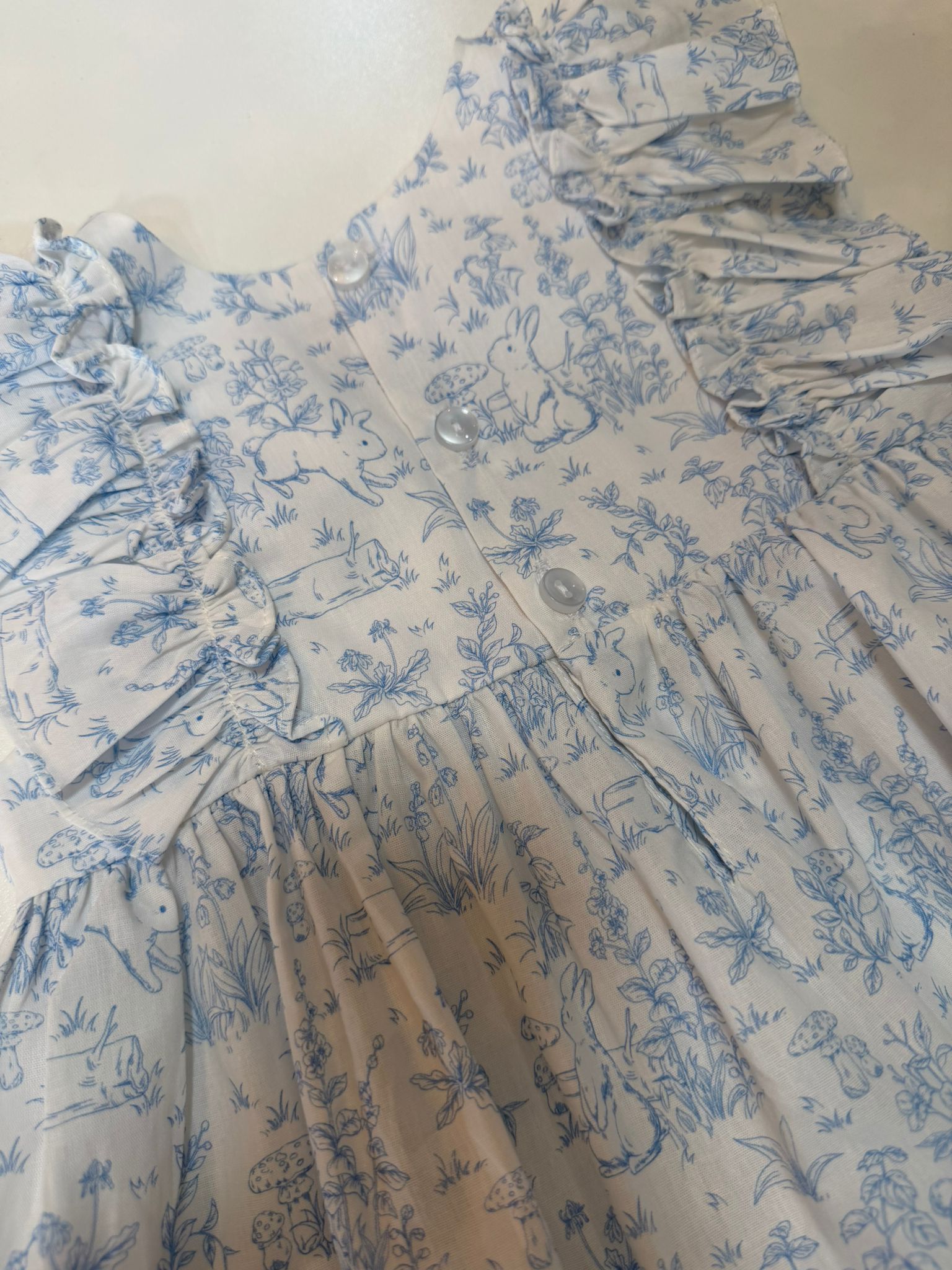 Ivy Set - Blue Bunnies
